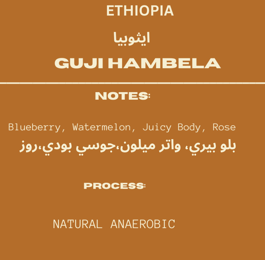 Ethiopia Guji Hambela — Kaze Café