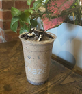Cookies And Cream Latte — Kaze Café