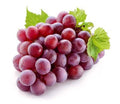Grape beans 10kg — Kaze Café